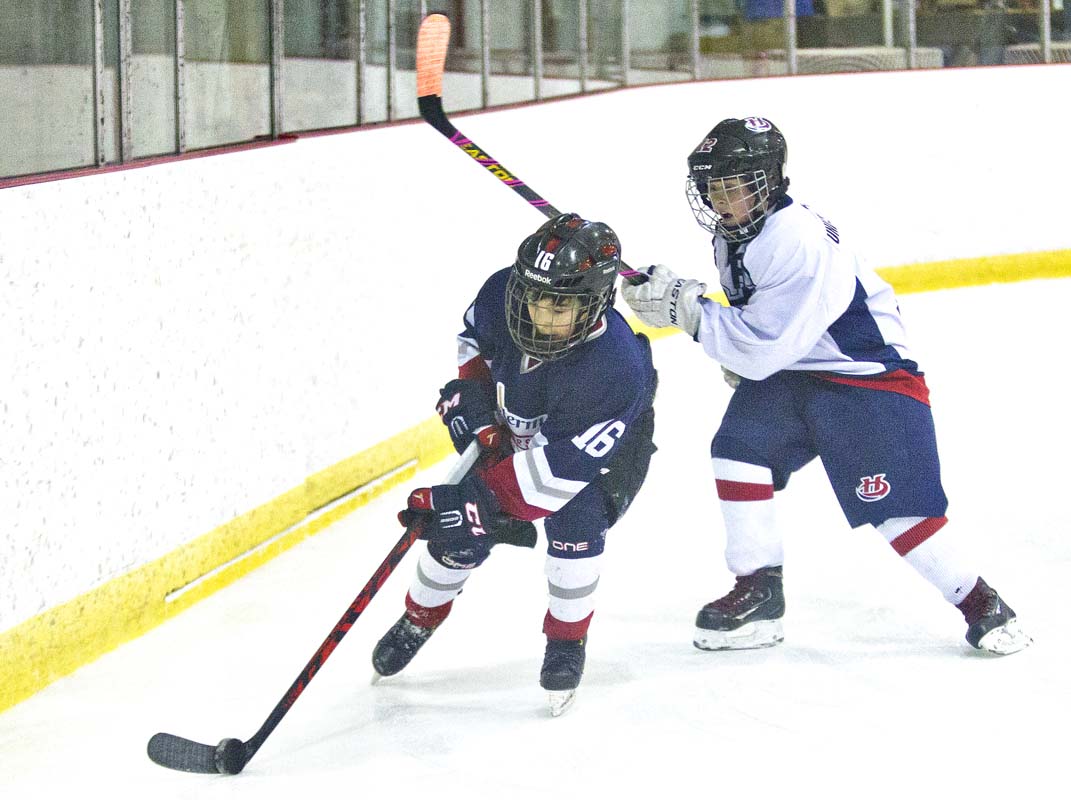 Atom Arctic Cup hosted by Chestermere Lakers a success | The ...