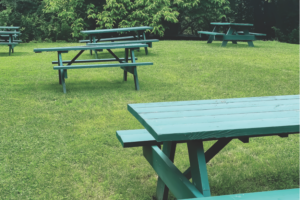 park picnic tables